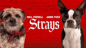 Strays's poster