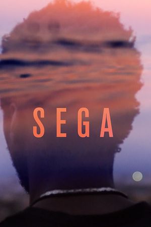 Sega's poster