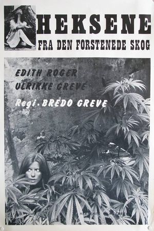 Heksene fra den forstenede skog's poster image