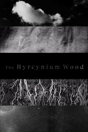 The Hyrcynium Wood's poster