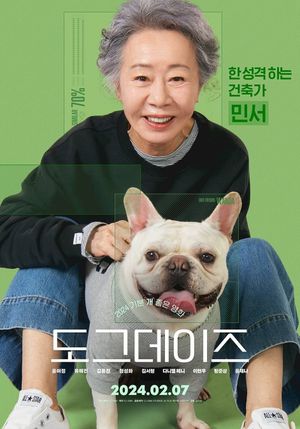 Dog Days's poster