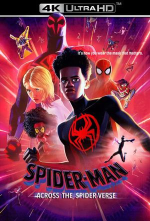 Spider-Man: Across the Spider-Verse's poster