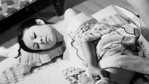 Widow's Boarding House: Teaching Sex's poster