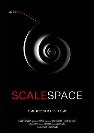 Scalespace's poster