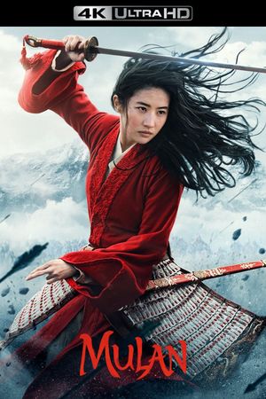 Mulan's poster