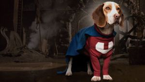 Underdog's poster
