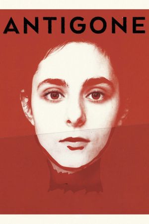 Antigone's poster