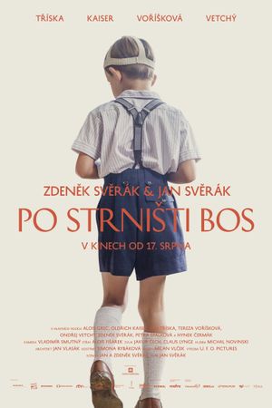 Barefoot's poster
