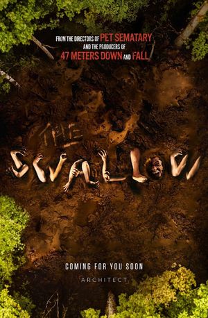The Swallow's poster image