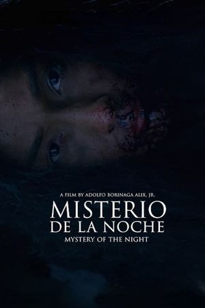 Mystery of the Night's poster image