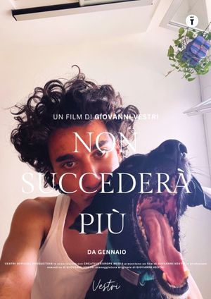 Non succederà più's poster