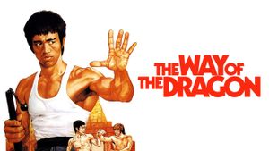 The Way of the Dragon's poster