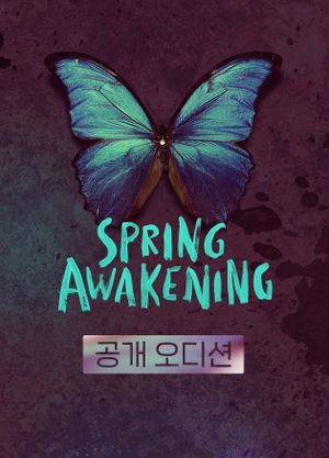 Spring Awakening the Musical in Korea's poster image