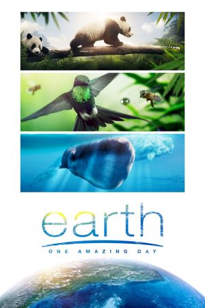Earth: One Amazing Day's poster image