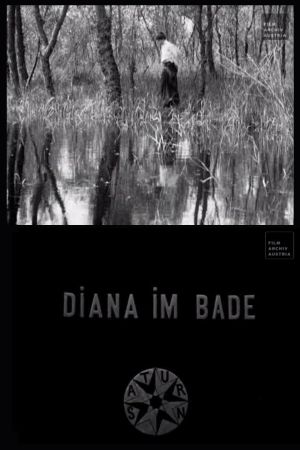 Diana Bathing's poster