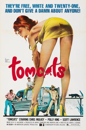 Tomcats's poster