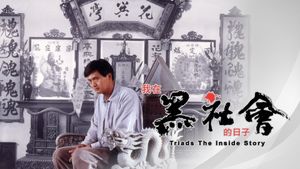 Triads: The Inside Story's poster