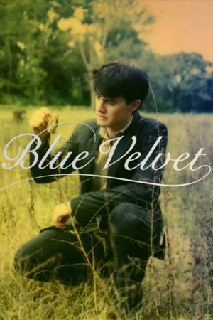 Blue Velvet's poster