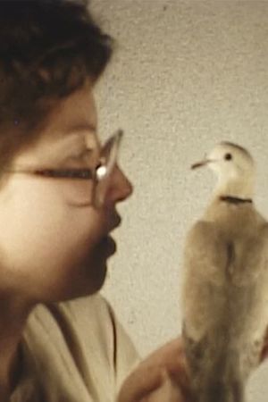 Bird's poster