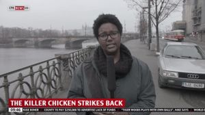 The Chicken's poster