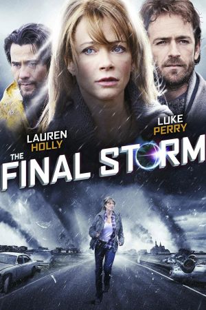 The Final Storm's poster