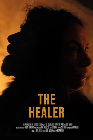 The Healer's poster