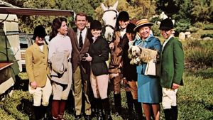 The Horse in the Gray Flannel Suit's poster