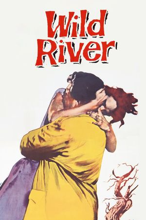 Wild River's poster