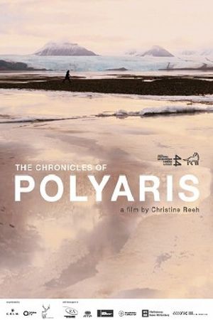 The Chronicles of Polyaris's poster