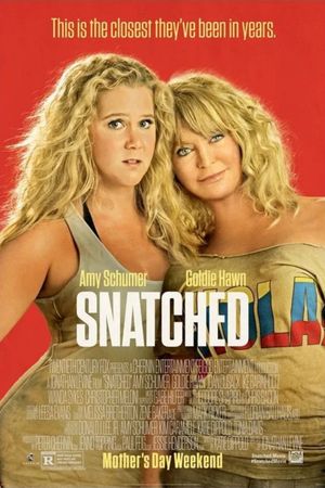 Snatched's poster