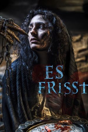 Es frisst's poster