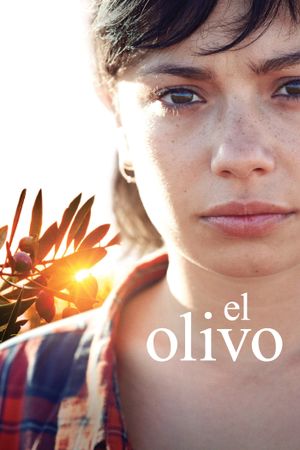 The Olive Tree's poster