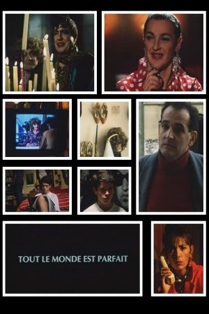 Everyone is Perfect's poster