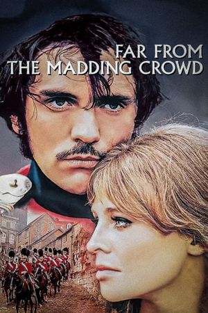 Far from the Madding Crowd's poster