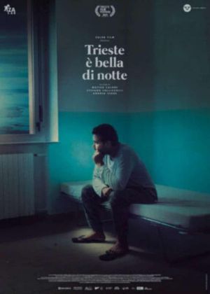 Trieste Shines at Night's poster