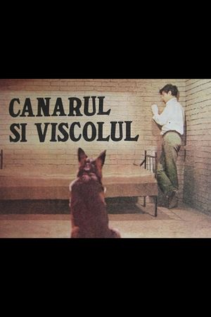 Canarul si viscolul's poster