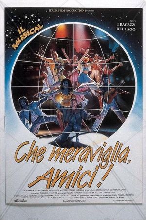 Che meraviglia, amici!'s poster