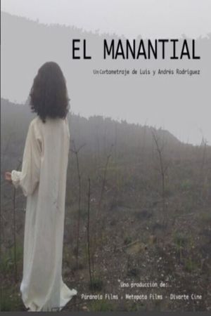 El Manantial's poster