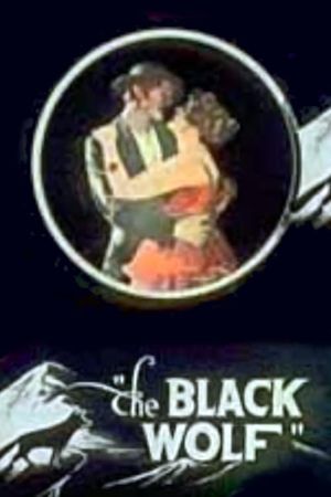 The Black Wolf's poster image