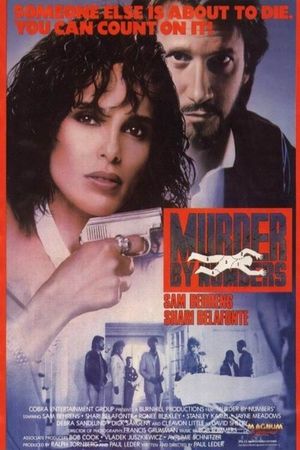 Murder by Numbers's poster