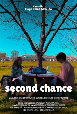 Second Chance's poster