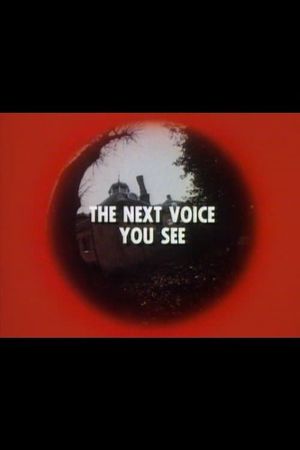 The Next Voice You See's poster