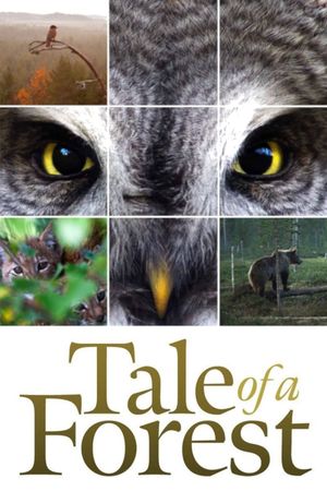 Tale of a Forest's poster