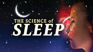 The Science of Sleep's poster