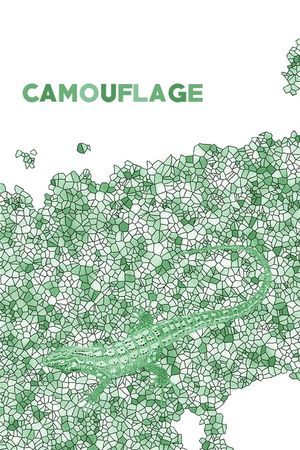 Camouflage's poster
