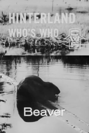 Hinterland Who's Who: Beaver's poster