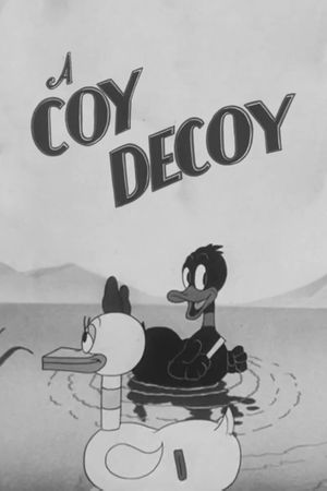 A Coy Decoy's poster