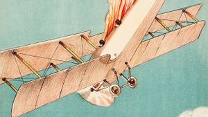 The Air Mail Pilot's poster