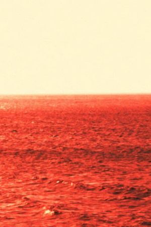 The Fire of Antifer (Materials for a Film in Progress)'s poster