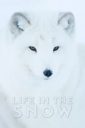 Life In The Snow's poster